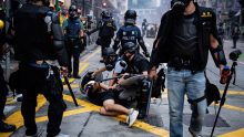 Hong Kong police arrest a protester